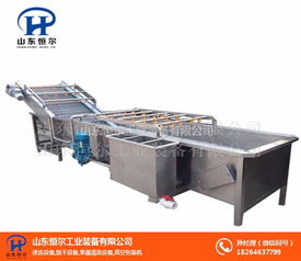 山东恒尔 专业辣椒气泡清洗机厂家与机械电气设备销售服务